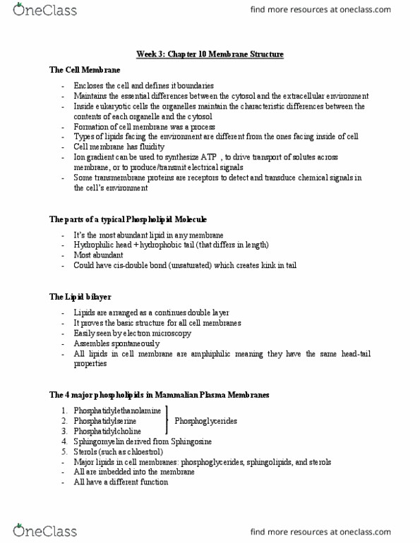 BLG 311 Lecture Notes - Lecture 3: Lipid Bilayer, Glycerophospholipid, Phosphatidylethanolamine thumbnail