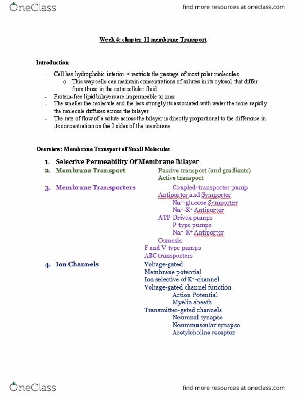 BLG 311 Lecture Notes - Lecture 4: Lipid Bilayer, Membrane Transport Protein, Extracellular Fluid thumbnail