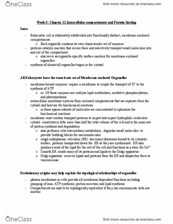 BLG 311 Lecture Notes - Lecture 5: Endoplasmic Reticulum, Oxidative Phosphorylation, Membrane Protein thumbnail