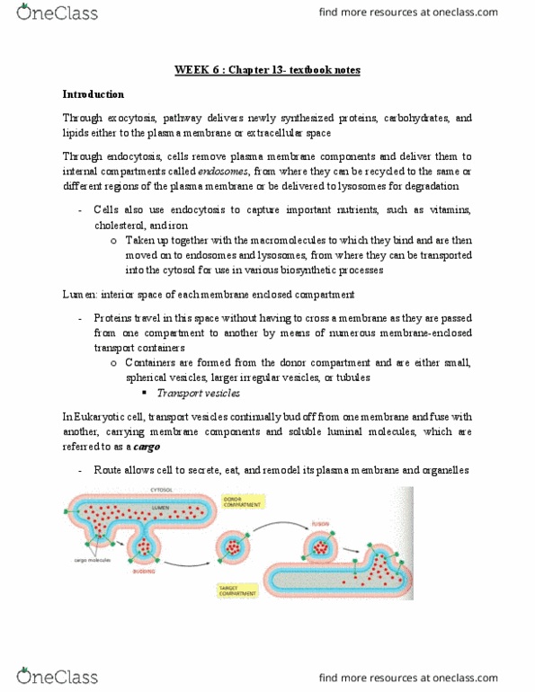 BLG 311 Chapter Notes - Chapter 13: Cell Membrane, Blood Proteins, Endosome thumbnail