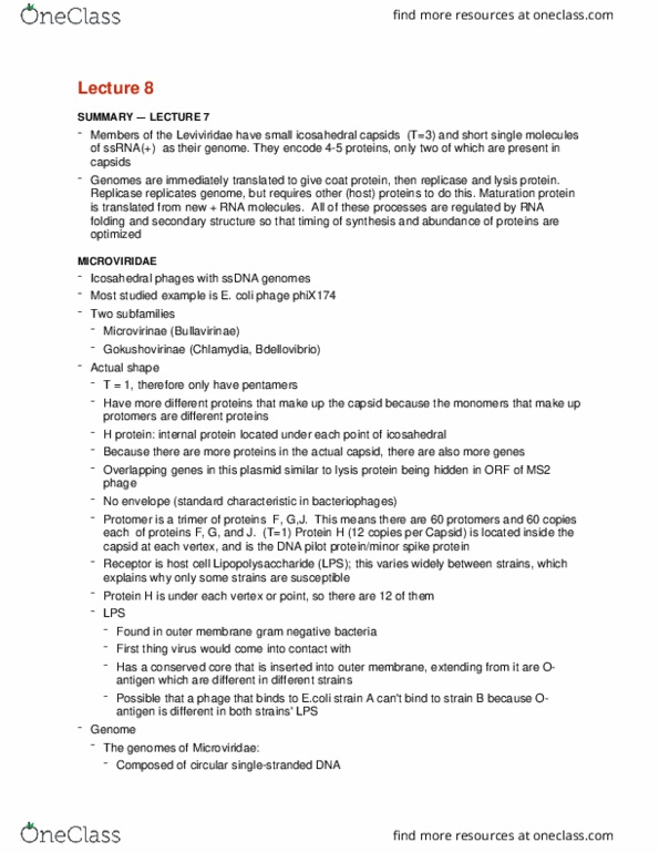 CMMB 421 Lecture Notes - Lecture 8: Bacteriophage Ms2, Microviridae, Rna-Dependent Rna Polymerase thumbnail