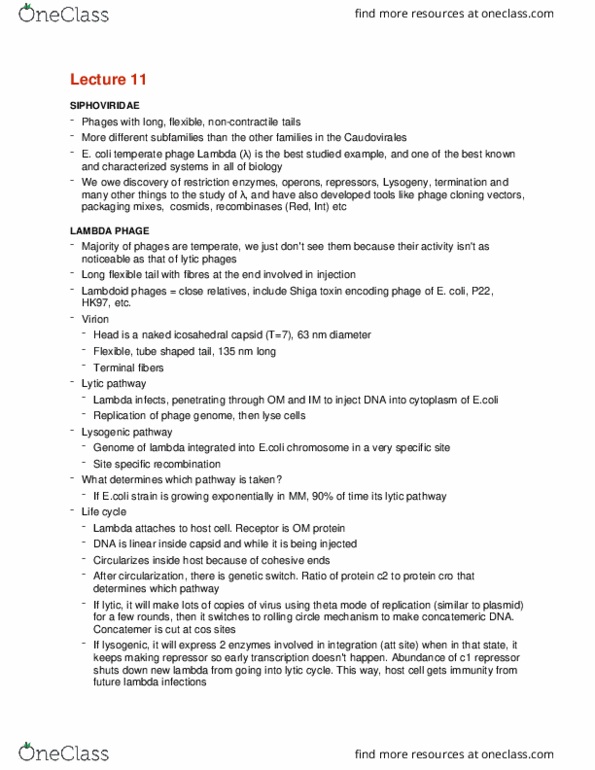 CMMB 421 Lecture Notes - Lecture 11: Shiga Toxin, Rolling Circle Replication, Caudovirales thumbnail