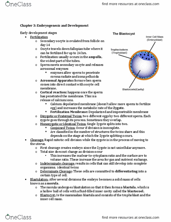 LING 200 Lecture Notes - Lecture 2: Zona Pellucida, Conjoined Twins, Morula thumbnail