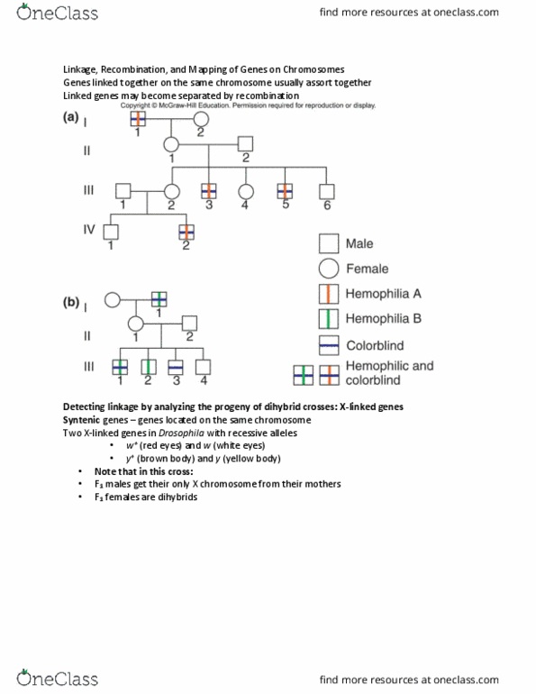 BI226 Lecture Notes - Lecture 19: Chromosome thumbnail