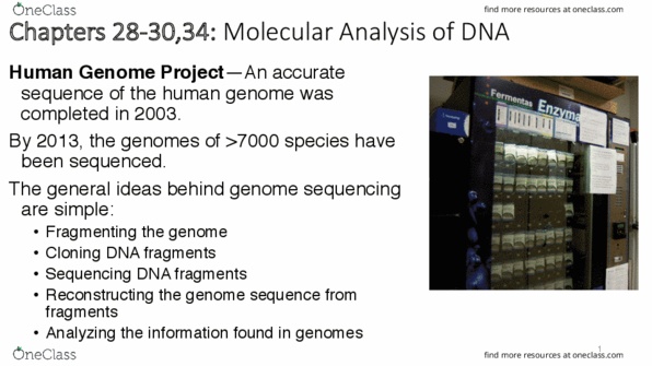 BI226 Chapter Notes - Chapter 29,30,31: Recombinant Dna, Cloning, Metar thumbnail