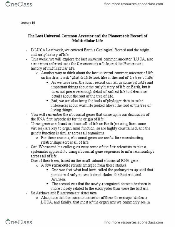 PCB 4674C Lecture Notes - Lecture 19: Ribosomal Rna, Last Universal Common Ancestor, Carl Woese thumbnail