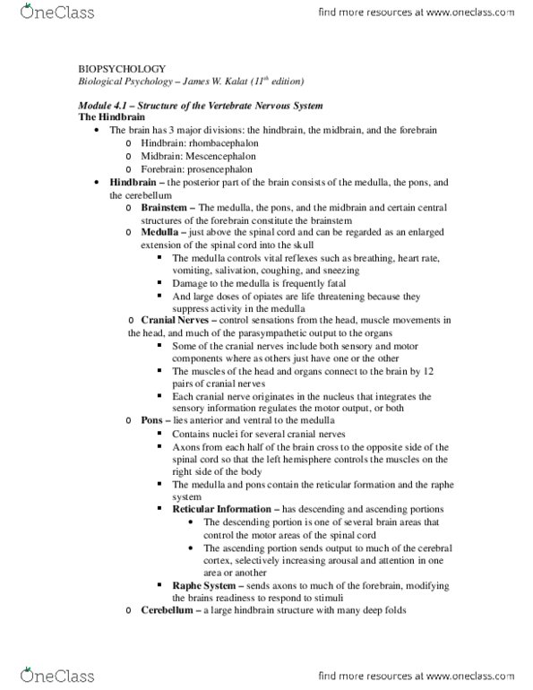 PS263 Chapter Notes -Hindbrain, Thalamus, Brainstem thumbnail