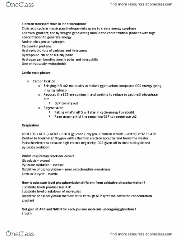 LIFE 121 Lecture Notes - Lecture 5: Oxidative Phosphorylation, Atp Synthase, Light-Independent Reactions thumbnail