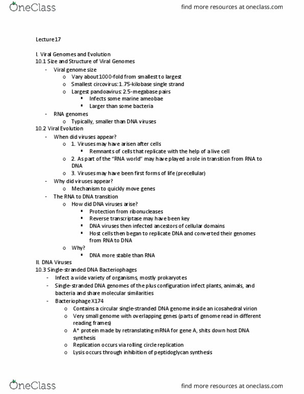 MCB 3020C Lecture Notes - Lecture 17: Rolling Circle Replication, Rna Virus, Circovirus thumbnail