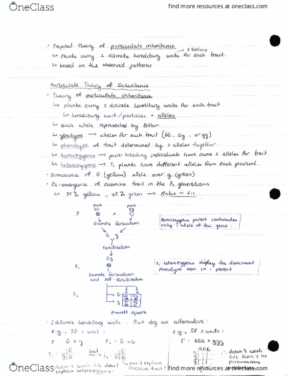 BIO207H5 Lecture Notes - Lecture 1: Horse Length, Eocene, Continuously Variable Transmission thumbnail