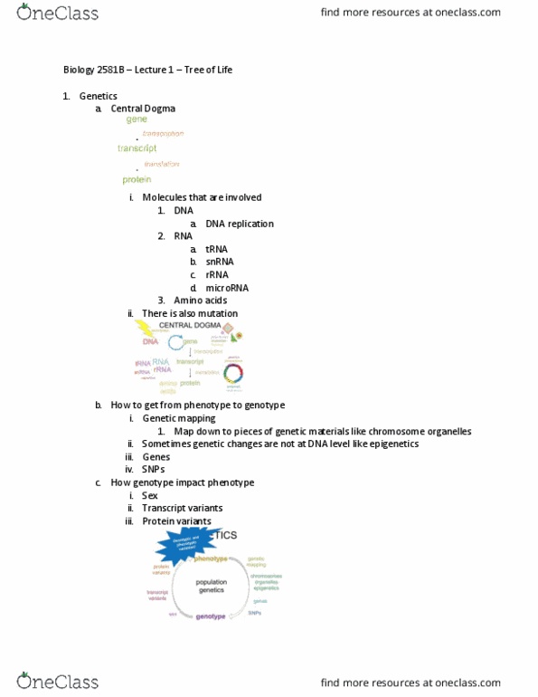 Biology 2581B Lecture Notes - Lecture 1: Dna Replication, Microrna, Ribosomal Rna thumbnail