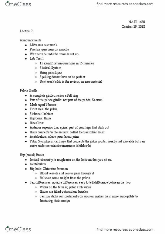 NATS 1650 Lecture Notes - Lecture 7: Anterior Superior Iliac Spine, Ischial Tuberosity, Obturator Foramen thumbnail