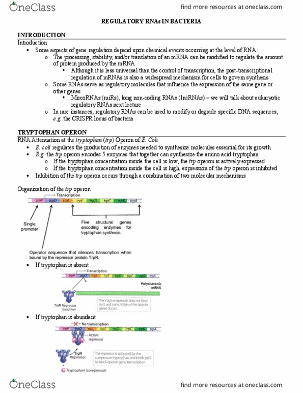 MCB 250 Lecture Notes - Lecture 28: Trp Operon, Crispr, Tryptophan thumbnail