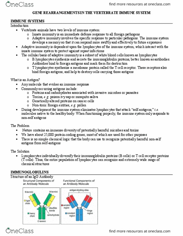 MCB 250 Lecture Notes - Lecture 31: Adaptive Immune System, Innate Immune System, T Cell thumbnail