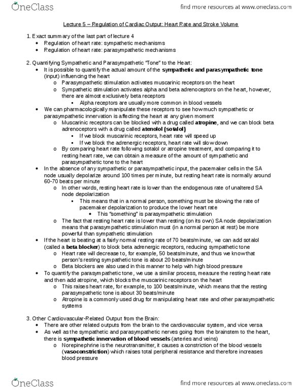 BIO120H1 Lecture Notes - Lecture 5: Beta Blocker, Parasympathetic Nervous System, Stroke Volume thumbnail