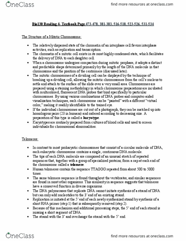 BIO130H1 Chapter Notes - Chapter 4: Homologous Chromosome, Dna Replication, Telomere thumbnail