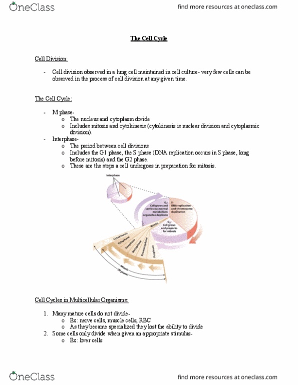BIO130H1 Lecture Notes - Lecture 5: G2 Phase, G1 Phase, S Phase thumbnail