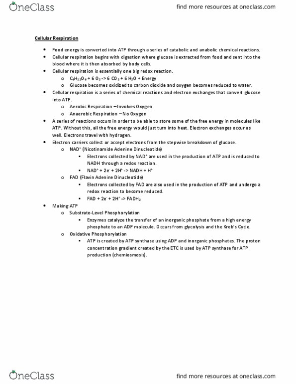 BIOL 1000 Lecture Notes - Lecture 18: Atp Synthase, Cellular Respiration, Redox thumbnail