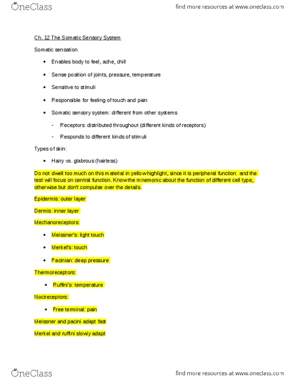 NSCI 1051 Lecture Notes - Dorsal Root Ganglion, Posterior Grey Column, Sensory Neuron thumbnail