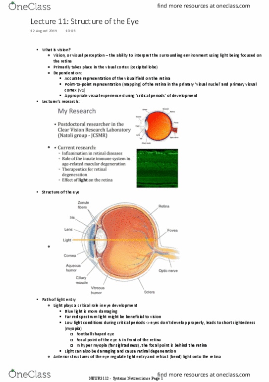 NEUR3112 Lecture Notes - Lecture 11: Occipital Lobe, Visual Cortex, Retina thumbnail