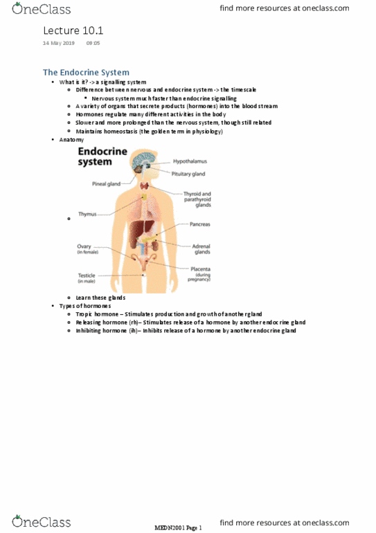 MEDN2001 Lecture Notes - Lecture 10: Growth Hormone–Releasing Hormone, Endocrine System, Releasing And Inhibiting Hormones thumbnail