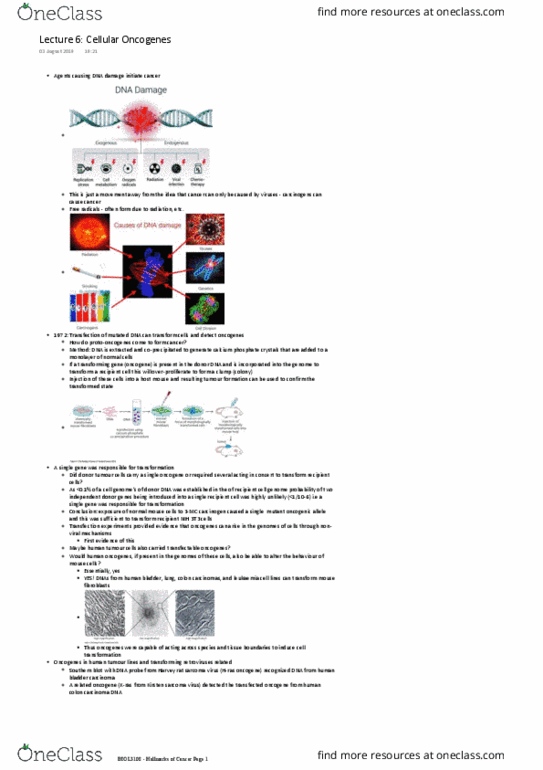 BIOL3108 Lecture Notes - Lecture 6: 3T3 Cells, Transfection, Southern Blot thumbnail