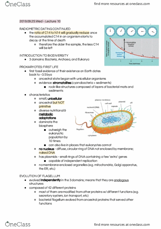 BIOL108 Lecture Notes - Lecture 9: Golgi Apparatus, Cyanobacteria, Archaea thumbnail