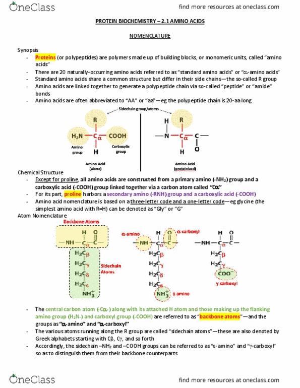 BMB 401 Lecture Notes - Lecture 7: Carboxylic Acid, Proline, Amine thumbnail