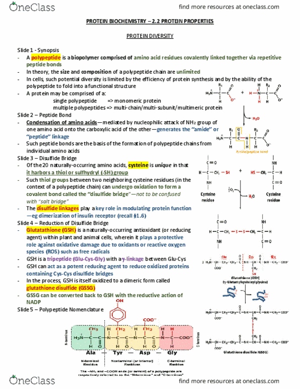 BMB 401 Lecture Notes - Lecture 8: Glutathione Disulfide, Covalent Bond, Insulin Receptor thumbnail