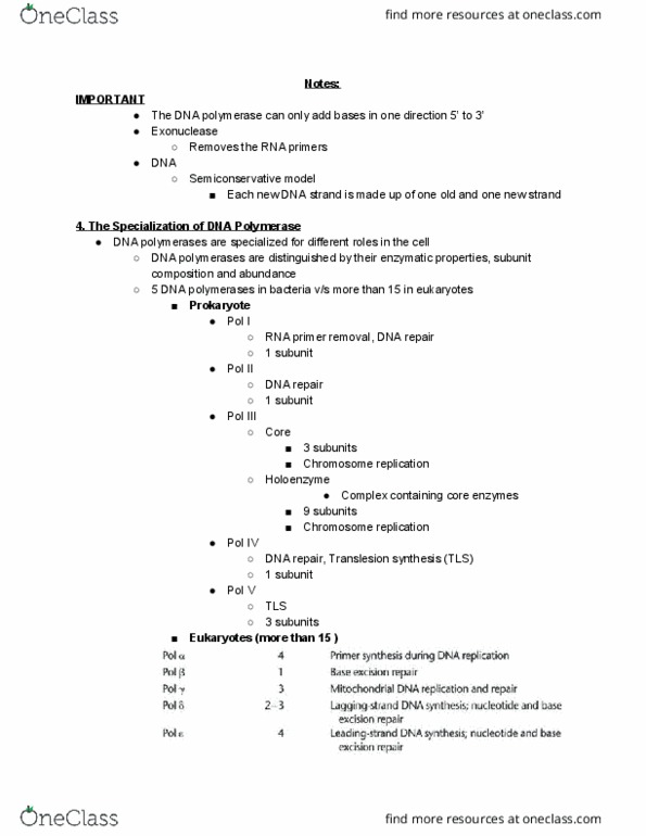 BIO372H5 Lecture Notes - Lecture 3: Dna Polymerase Iii Holoenzyme, Enzyme, Exonuclease thumbnail