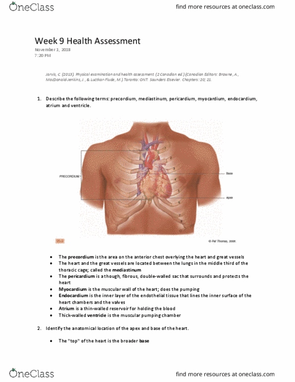 NSE 22A/B Lecture Notes - Lecture 9: Precordium, Rib Cage, Great Vessels thumbnail
