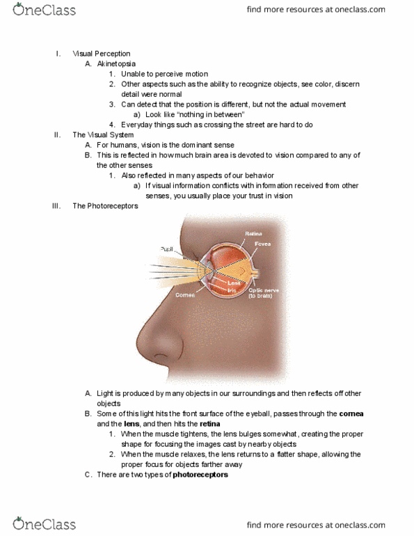PSYC 105 Chapter Notes - Chapter 1: Akinetopsia, Retina, Parvocellular Cell thumbnail