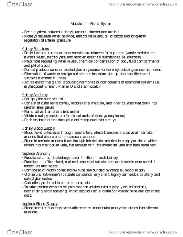 Physiology 2130 Chapter Notes -Renal Function, Distal Convoluted Tubule, Proximal Tubule thumbnail