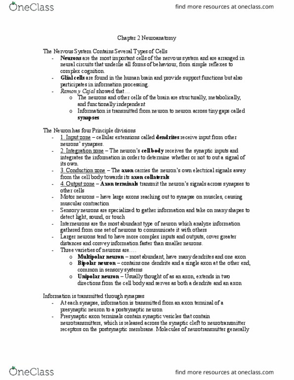 PSYC 2050U Chapter Notes - Chapter 2: Multipolar Neuron, Unipolar Neuron, Axon Terminal thumbnail