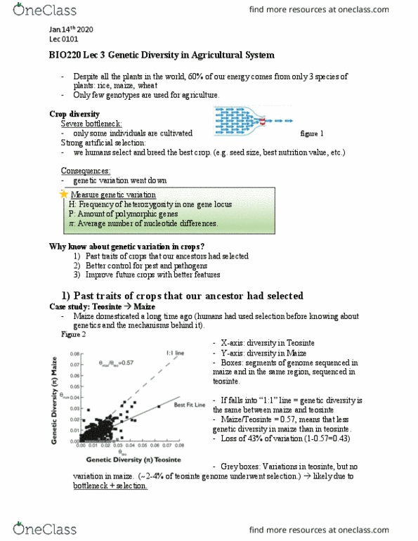 BIO220H1 Lecture Notes - Lecture 3: Crop Diversity, Selective Breeding, Zygosity cover image