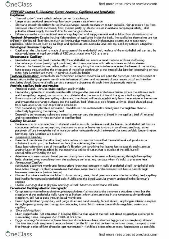 HUBS192 Lecture Notes - Lecture 5: Basal Lamina, Tight Junction, Venule thumbnail