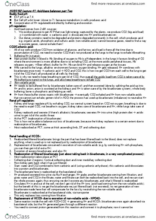 HUBS192 Lecture Notes - Lecture 41: Ascending Limb Of Loop Of Henle, Carbonic Anhydrase, Collecting Duct System thumbnail