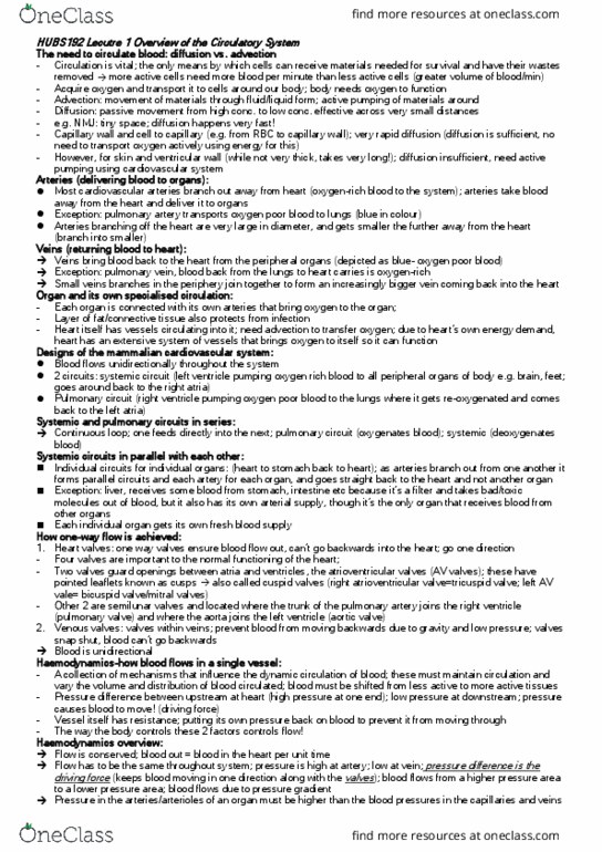 HUBS192 Lecture Notes - Lecture 1: Pulmonary Valve, Pulmonary Vein, Pulmonary Circulation thumbnail