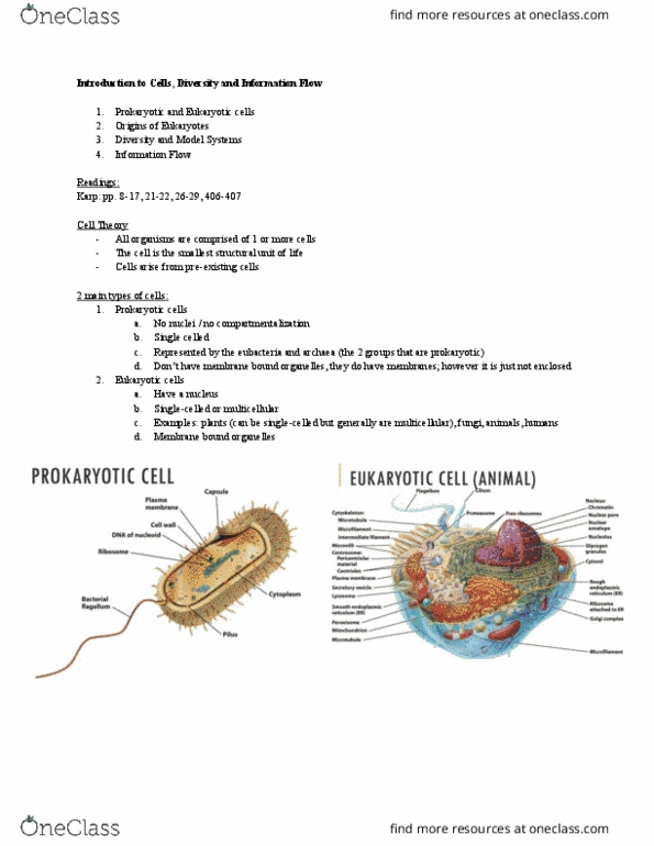 BIO130H1 Lecture Notes - Lecture 1: Bacteria, Cell Theory, Prokaryote thumbnail