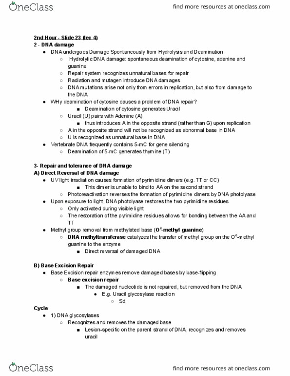 BIO372H5 Lecture Notes - Lecture 4: Pyrimidine Dimer, Dna Glycosylase, Dna Repair thumbnail