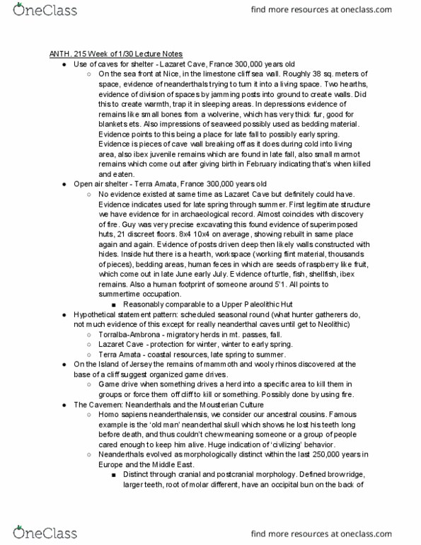 ANTH 215 Lecture Notes - Lecture 3: Neanderthal, Homo Sapiens, Upper Paleolithic thumbnail