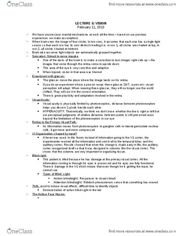 PSYCH 1XX3 Lecture Notes - Lecture 5: Visual Acuity, Action Potential, Retina thumbnail