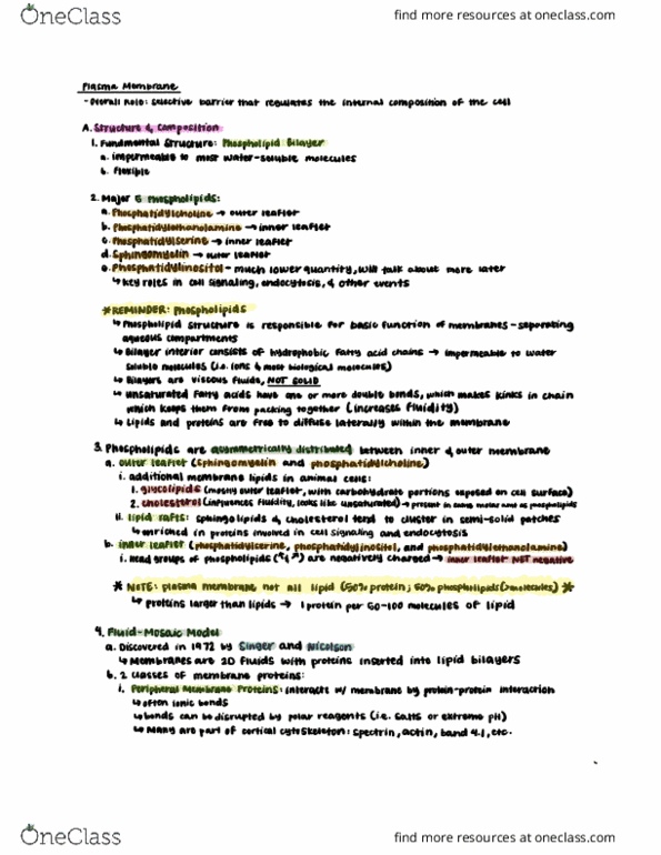 CAS BI 203 Lecture Notes - Lecture 3: Phosphatidylethanolamine, Phosphatidylserine, Fluid Mosaic Model thumbnail