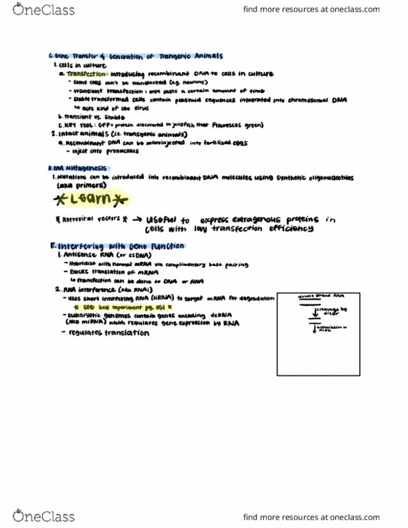 CAS BI 203 Lecture Notes - Lecture 7: Recombinant Dna, Rna Interference, Pronucleus thumbnail