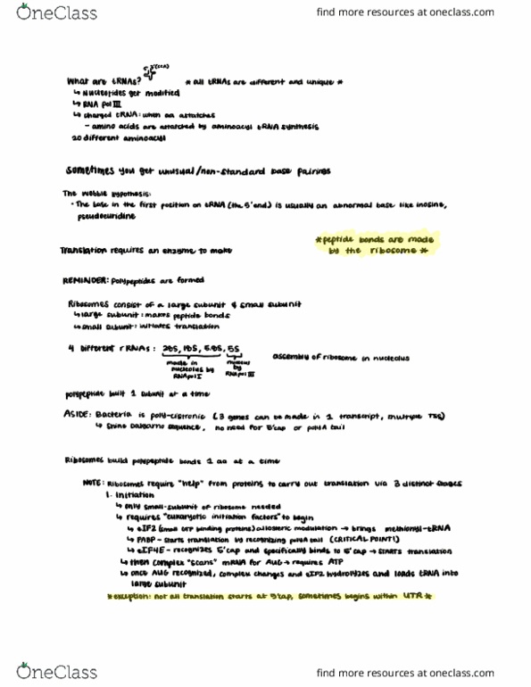 CAS BI 203 Lecture Notes - Lecture 14: Rna Polymerase Iii, Methionine, Eif4E thumbnail