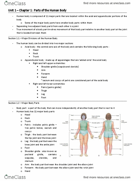 HP 2306 Chapter Notes - Chapter 1: Shoulder Girdle, Shoulder Joint, Ankle thumbnail