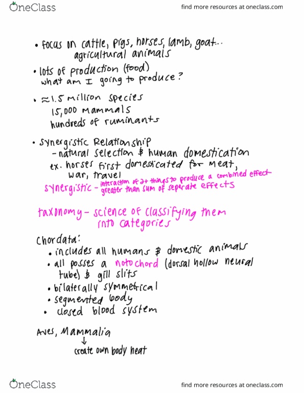 ACBS 102R Lecture Notes - Lecture 1: Chordate, Notochord, Sheep thumbnail