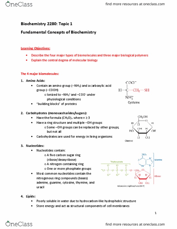 Biochemistry 2280A Lecture Notes - Lecture 1: Central Dogma Of Molecular Biology, Amine, Uracil thumbnail