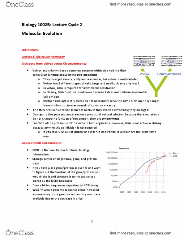 Biology 1002B Lecture Notes - Lecture 2: Asymmetric Cell Division, Volvox, National Center For Biotechnology Information thumbnail