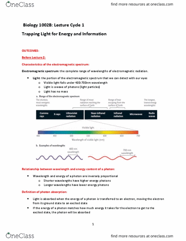 Biology 1002B Lecture Notes - Lecture 1: Electromagnetic Spectrum, Photon, Chloroplast thumbnail